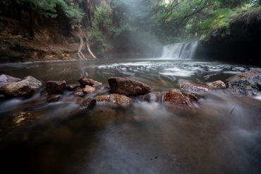 The Best (free) Hotsprings near Rotorua