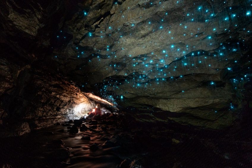 Where to Photograph New Zealand’s Endemic Glowworms (for FREE)